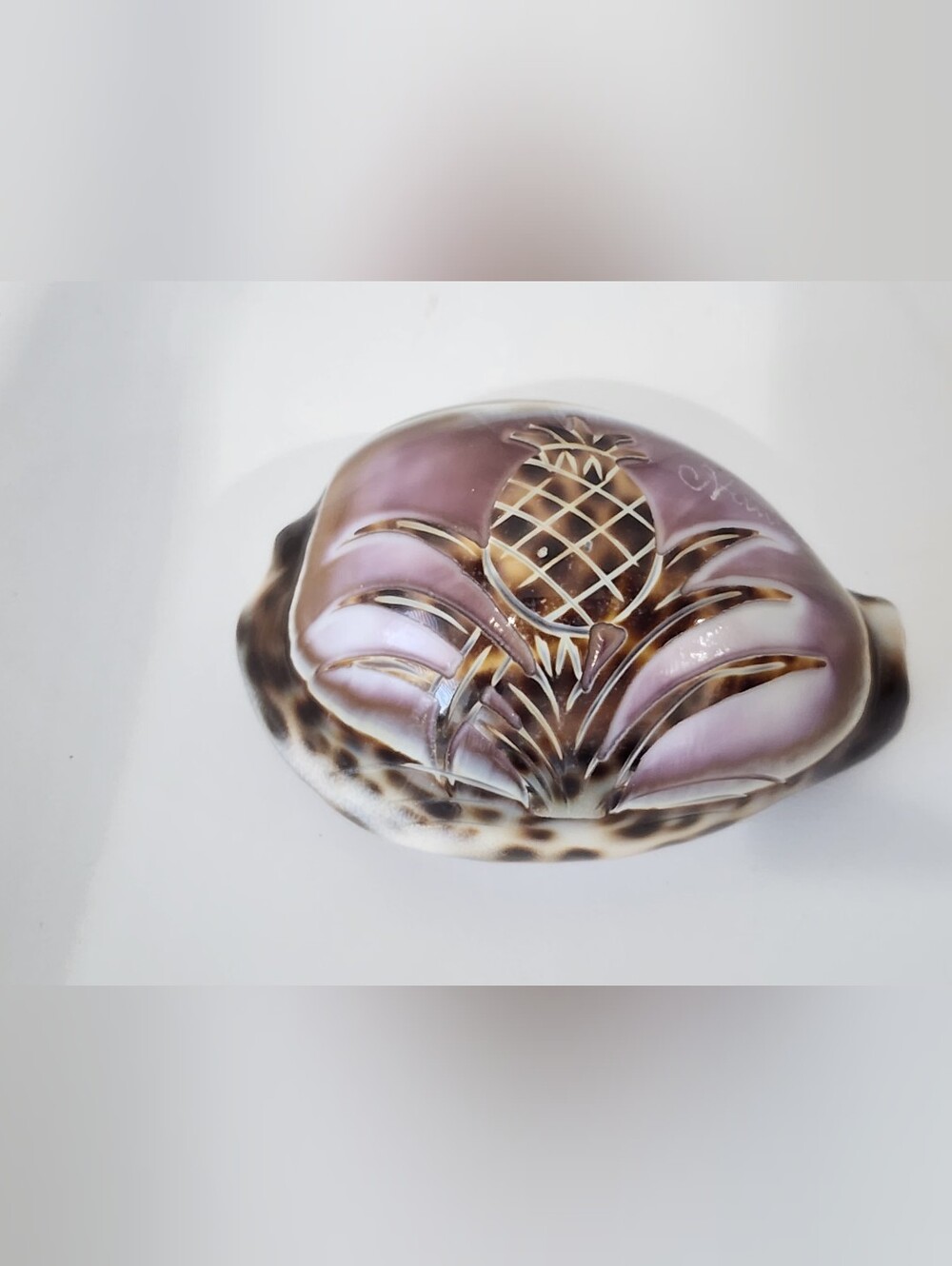 Vintage Hawaiian Hand Carved Cowrie Shell Etched Pineapple 3 Inch